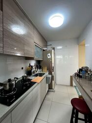 Blk 310A Waterway Terraces II (Punggol), HDB 3 Rooms #528193211